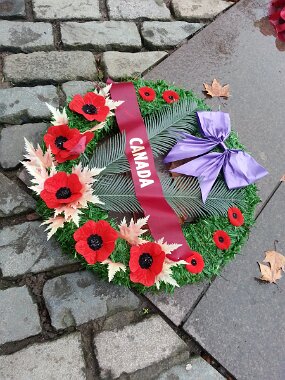 20141212_112109 null