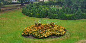 20240902_170019 null