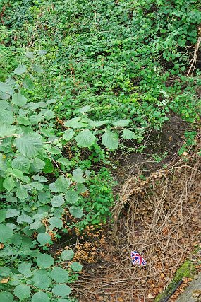 20240902_101601 null