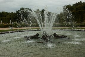 DSC_1072 null