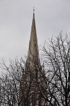 DSC_1542 null
