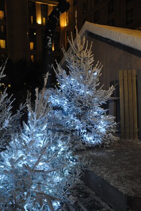 DSC_2361 null
