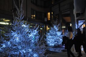 DSC_2244 null