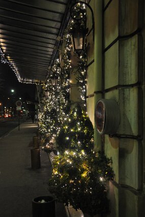 DSC_2276 null
