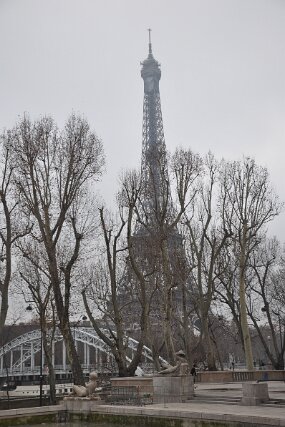 DSC_2471 null