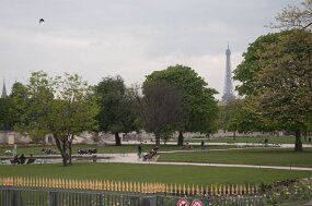 DSC_6114 null