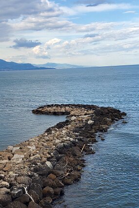 20250427_174352 null