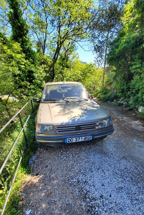 20250425_110508 null