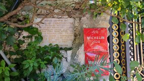 20250425_110537 null