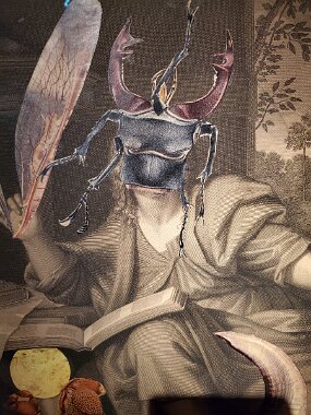 20250427_160525 null