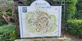 20250427_145039 null