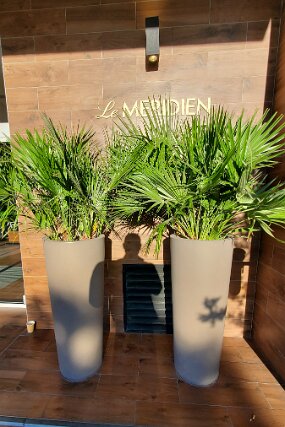 20250425_075822 null