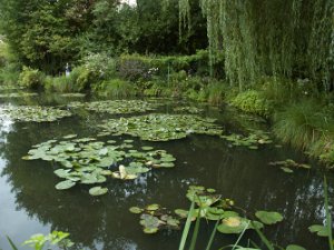 The Japanese Garden A visit to Claude Monet's Japanese Water Garden (30 August 2014)
