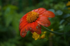 DSC_0754 null