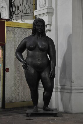 DSC_2558 null