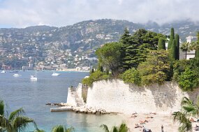DSC_1006 null
