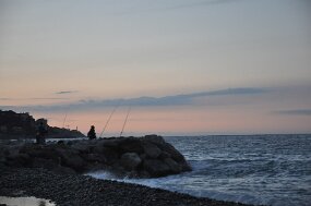 DSC_6025 null