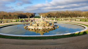 20241226_105200 null