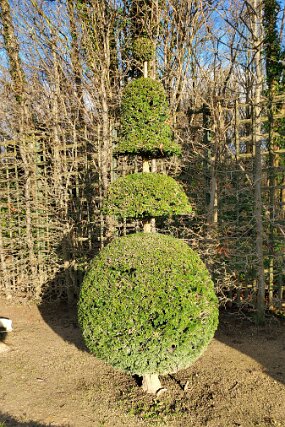 20241226_105826 null