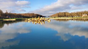 20241226_110329 null