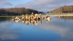 20241226_110340 null