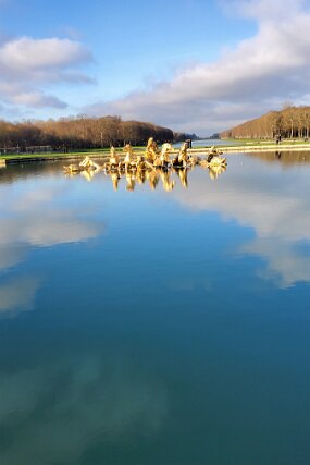 20241226_110354 null