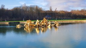 20241226_110625 null