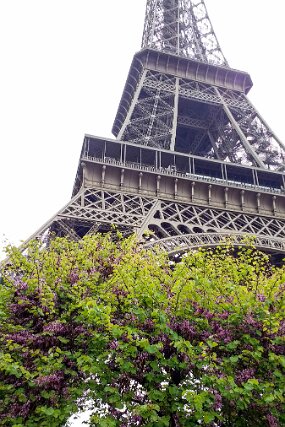 2017-04-22 07.41.29 null