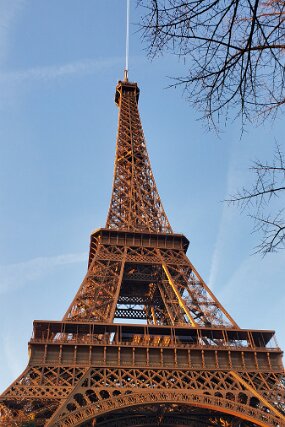 20241227_090833 null