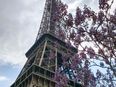 La Tour Eiffel (22 Apr 17) Visit to La Tour Eiffel (22 April 2017)