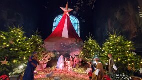 20241225_120405 null