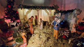 20241224_143653 null