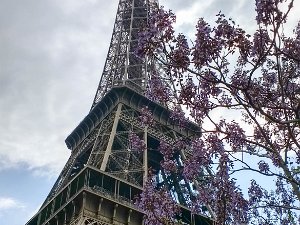 La Tour Eiffel (22 Apr 17) Visit to La Tour Eiffel (22 April 2017)