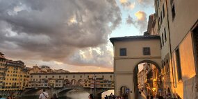 20250726_202949 null