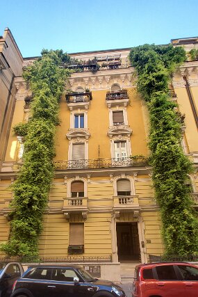 20250723_180307 null