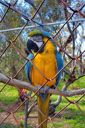 20240731_135903 null
