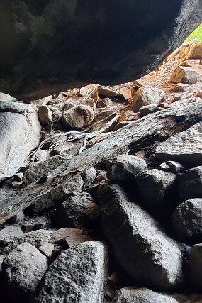 20240731_154912 null