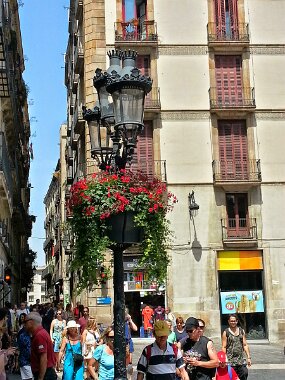 20150704_154720_HDR null