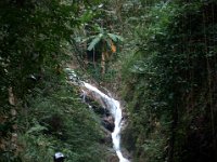 DSC_6632.NEF A visit to Mae Kampong Waterfalls (Chiang Mai, Thailand) -- 30 December 2014
