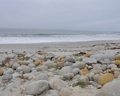 2011-09-03-Pebble-Beach