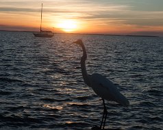 2016-10 Sanibel-Captiva