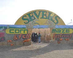 2011-10-29-Corn-Maze