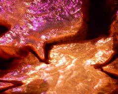 2016-08-26 Fuerza Bruta