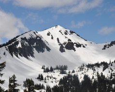 2011-07-03 Rainier National Park